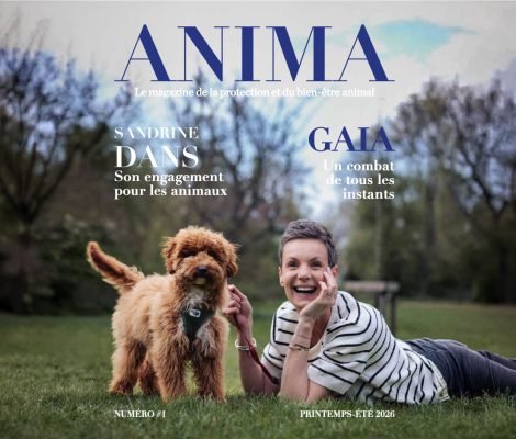 Anima-mag