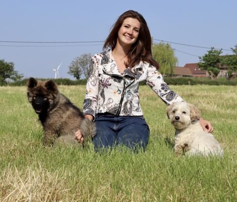 Comme Cha et Chiens