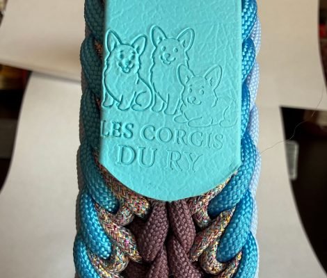 LEsCorgisduRy2