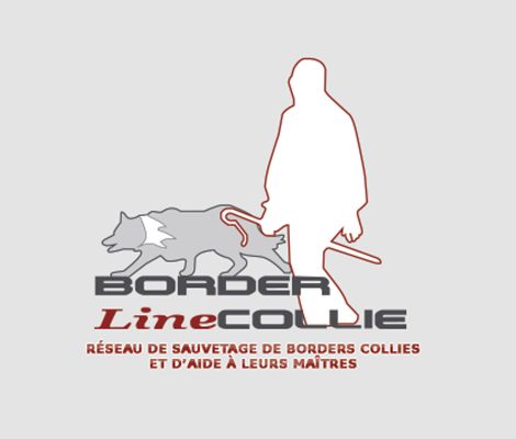 Logo-Border-lineCollie