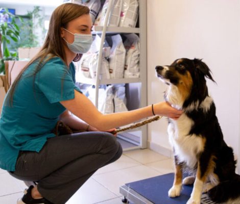 presta-Clinique-Champ-du-Roi2